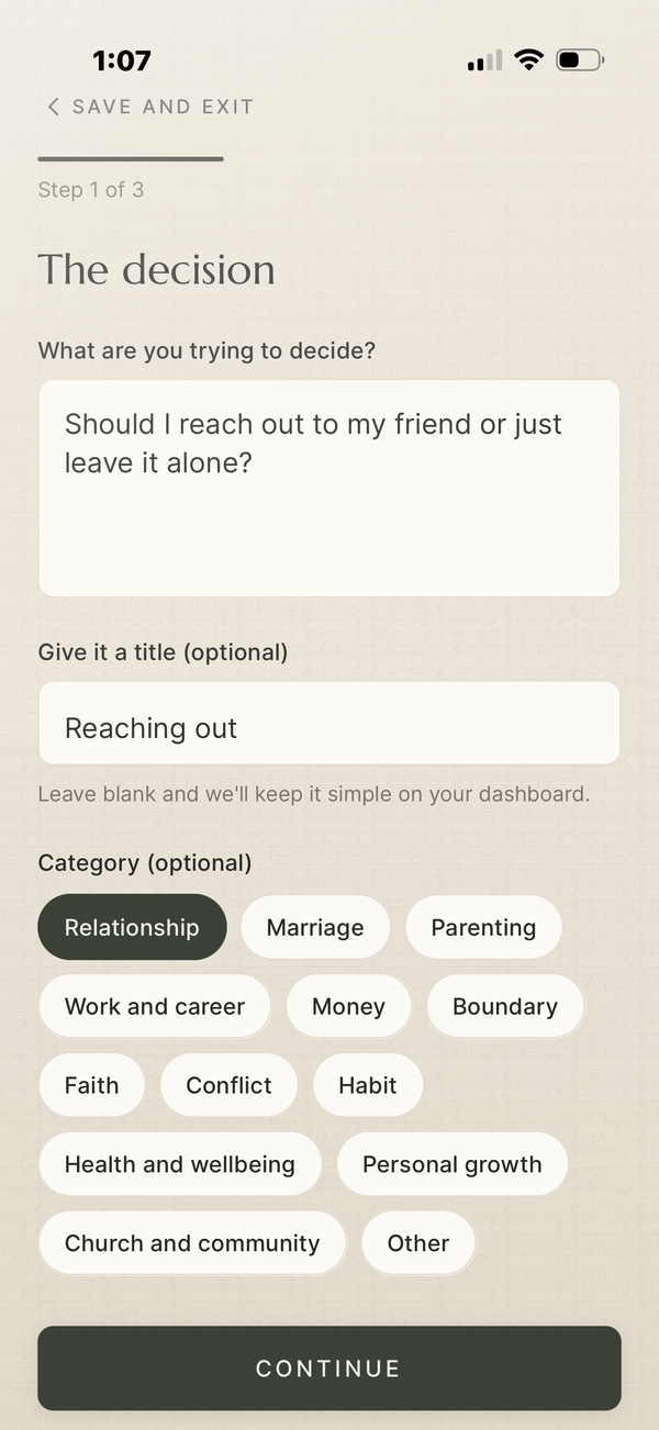 Describing a decision to think through, with an optional title and category.